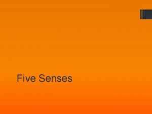 Five Senses First Sense Sound CLOSE YOUR EYES