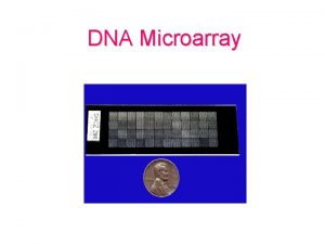 DNA Microarray Microarray Printing 96 wellplate PCR Products