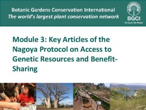 Botanic Gardens Conservation International The worlds largest plant