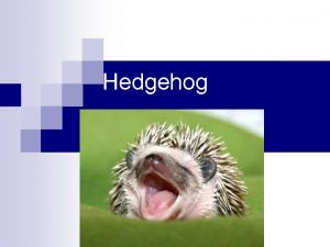 Urchin vs hedgehog