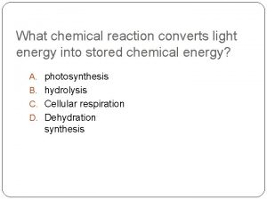 ________ converts light energy into chemical energy. *