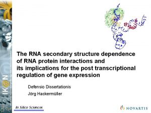 The RNA secondary structure dependence of RNA protein
