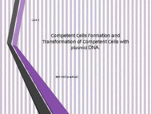 Transformation in bacteria