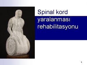 Anterior kord sendromu