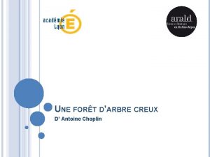 UNE FORT DARBRE CREUX D Antoine Choplin PRSENTATION