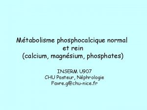 Mtabolisme phosphocalcique normal et rein calcium magnsium phosphates