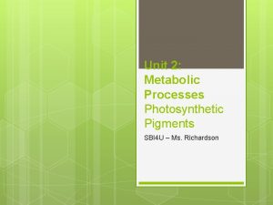 Unit 2 Metabolic Processes Photosynthetic Pigments SBI 4