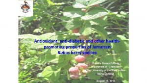 Antioxidant antidiabetic and other healthpromoting properties of Jamaican