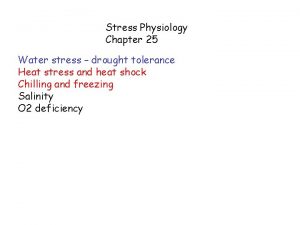 Stress Physiology Chapter 25 Water stress drought tolerance