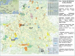 N O Fitoplancton i Cianobatteri 98 Zooplancton Rotiferi