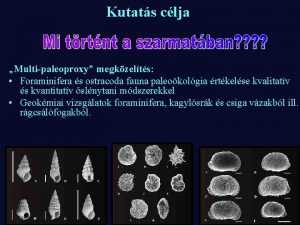 Kutats clja Multipaleoproxy megkzelts Foraminifera s ostracoda fauna