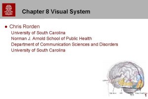 Chapter 8 Visual System l Chris Rorden University