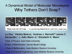 A Dynamical Model of Molecular Monolayers Why Tethers