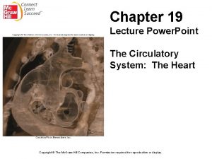 Chapter 19 Lecture Power Point The Circulatory System