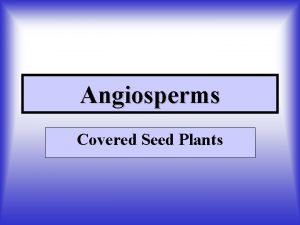 Angiosperms Covered Seed Plants Comparison of Monocots and
