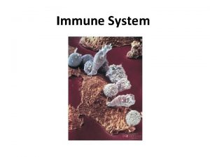 Second line of defense immune system