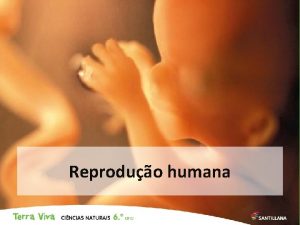 Reproduo humana 2 Vais saber responder Como se