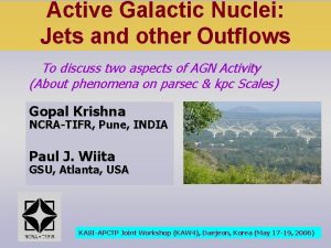 Active Galactic Nuclei Jets and other Outflows To