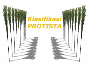 Protozoa diklasifikasikan berdasarkan