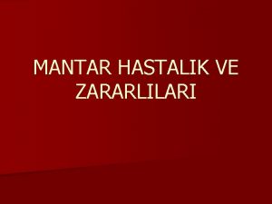 MANTAR HASTALIK VE ZARARLILARI Hijyenik nlemler 1 Kompost