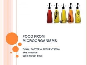 FOOD FROM MICROORGANISMS FUNGI BACTERIA FERMENTATION Berk Tzemen
