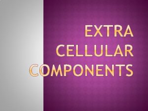 EXTRA CELLULAR COMPONENTS AND CONNECTIONS Extra cellular components EXTRA CELLULAR COMPONENTS AND CONNECTIONS Extra cellular components