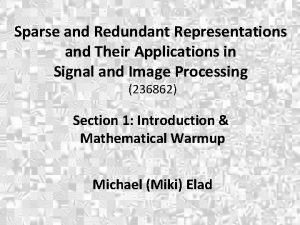 Sparse and Redundant Representations and Their Applications in