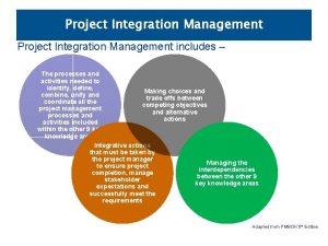 Six processes of project integration management