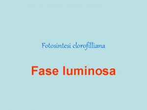 Fotosintesi clorofilliana Fase luminosa fotosintesi clorofilliana 1 avviene