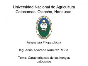 Universidad Nacional de Agricultura Catacamas Olancho Honduras Asignatura