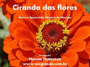 Ciranda das flores Norma Aparecida Silveira de Moraes