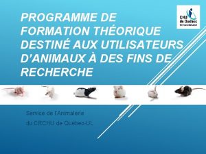 PROGRAMME DE FORMATION THORIQUE DESTIN AUX UTILISATEURS DANIMAUX