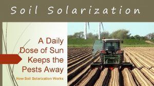 Define soil solarization
