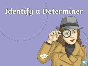 What is a determiner