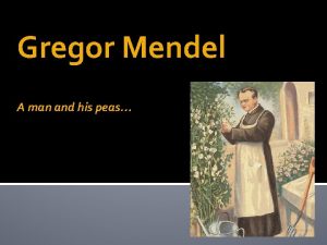 Gregor Mendel A man and his peas PreMendelian