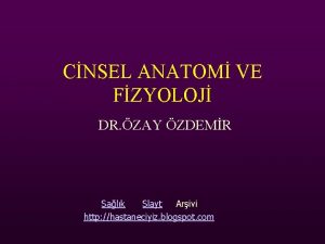 CNSEL ANATOM VE FZYOLOJ DR ZAY ZDEMR Salk