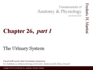 Anatomy Physiology SIXTH EDITION Chapter 26 part 1