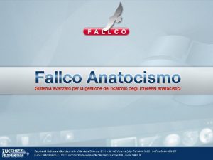 Fallco Anatocismo Introduzione Sistema informatico per il ricalcolo