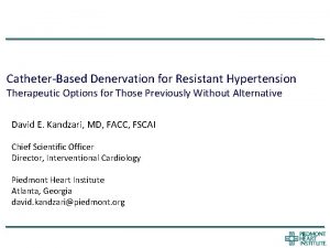 CatheterBased Denervation for Resistant Hypertension Therapeutic Options for