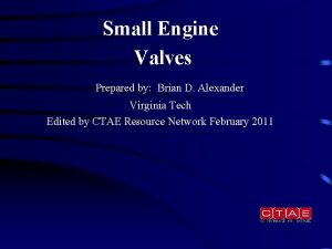 Small engine valves