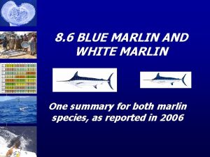 8 6 BLUE MARLIN AND WHITE MARLIN One