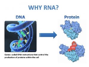 WHY RNA Genes coded DNA instructions that control