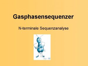 Gasphasensequenzer Nterminale Sequenzanalyse EDMANABBAU Zyklischer Prozess letzte Nterminale