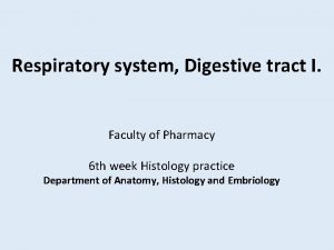 Respiratory system Digestive tract I Faculty of Pharmacy