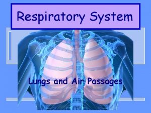 Respiratory System Lungs and Air Passages WHY ARE