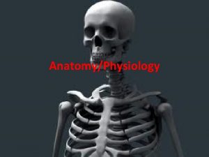 AnatomyPhysiology Homeostasis What is homeostasis The ability of