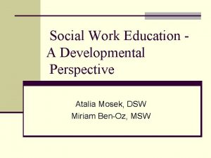 Developmental perspective social work