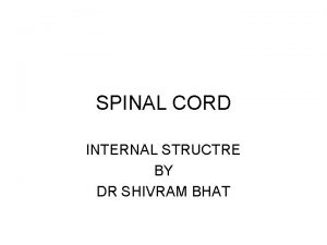SPINAL CORD INTERNAL STRUCTRE BY DR SHIVRAM BHAT