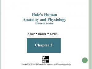 Holes Human Anatomy and Physiology Eleventh Edition Shier