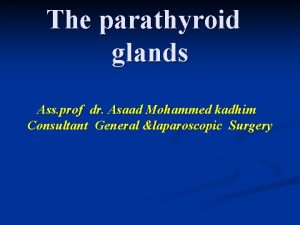 The parathyroid glands Ass prof dr Asaad Mohammed